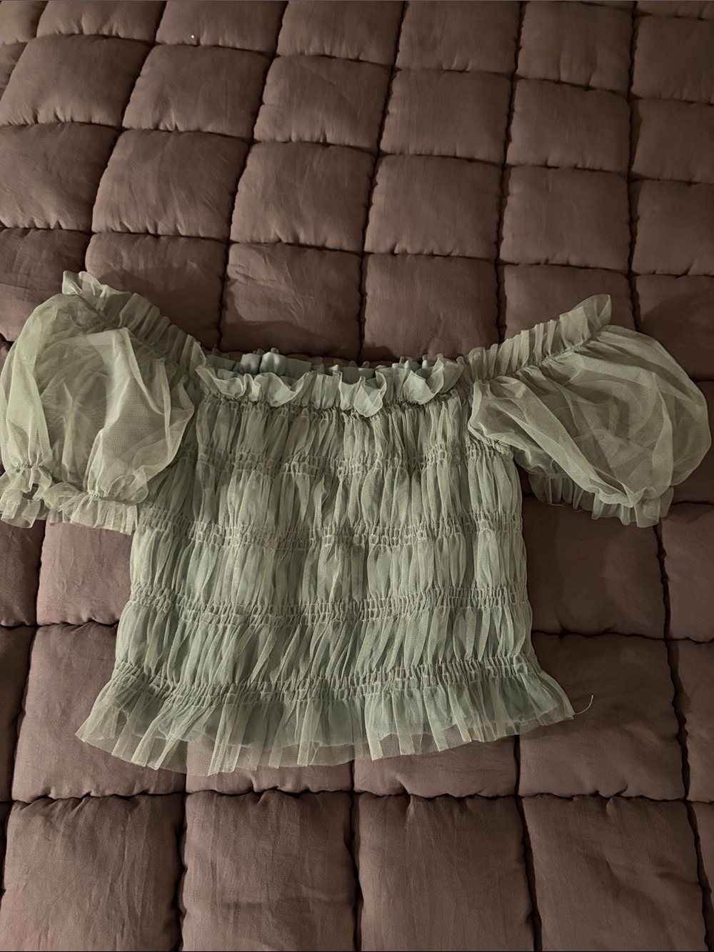 Sheer Smocked Off-Shoulder Crop Top - Sage Green